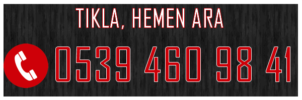 Pendik Escort Ahu